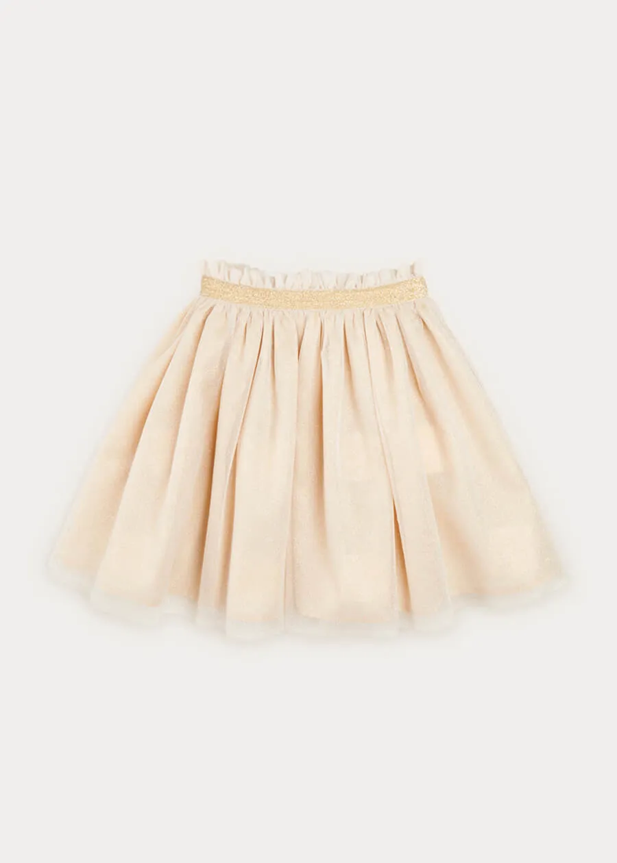 Tulle Glittery Skirt in Gold (18M-10Y)